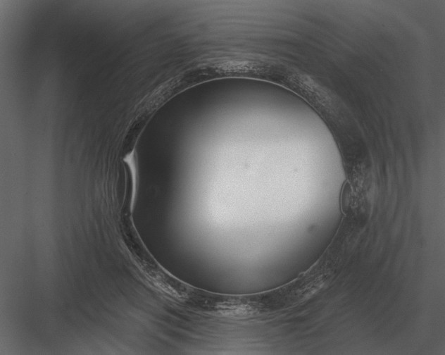 X0000083550454200702240115