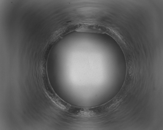 X0000083550455200702240115