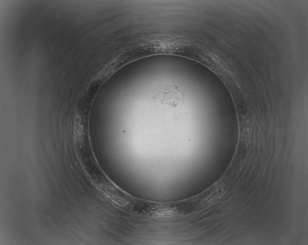 X0000083550456200702240116