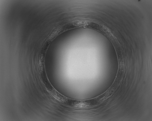 X0000083550460200702240116