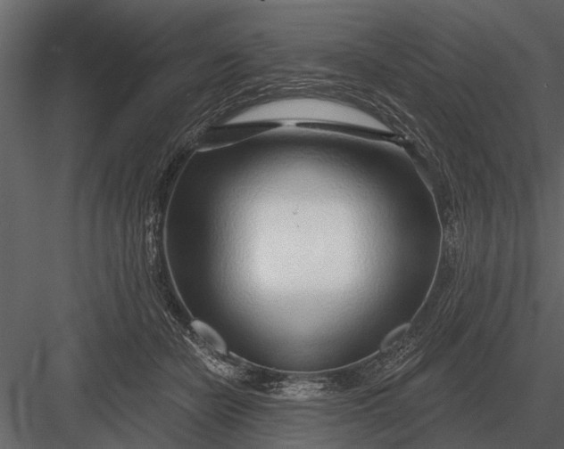 X0000083550462200702240116
