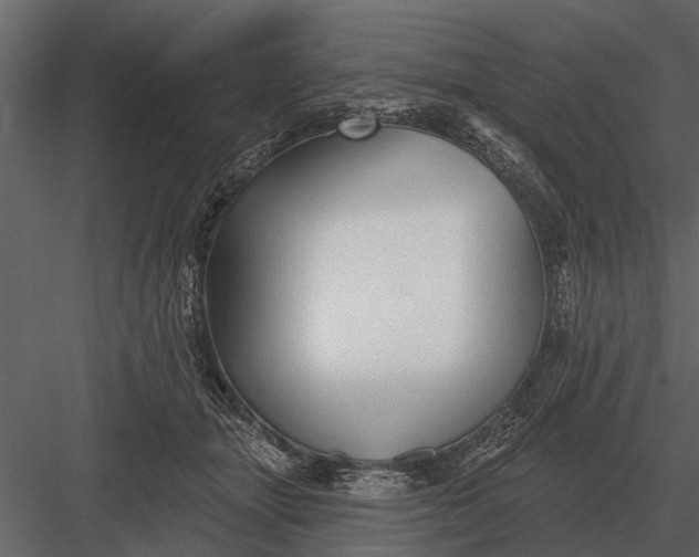X0000083550463200702240116