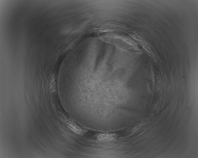 X0000083550465200702240116