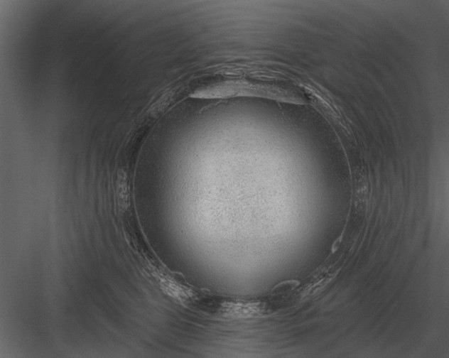 X0000083550469200702240116