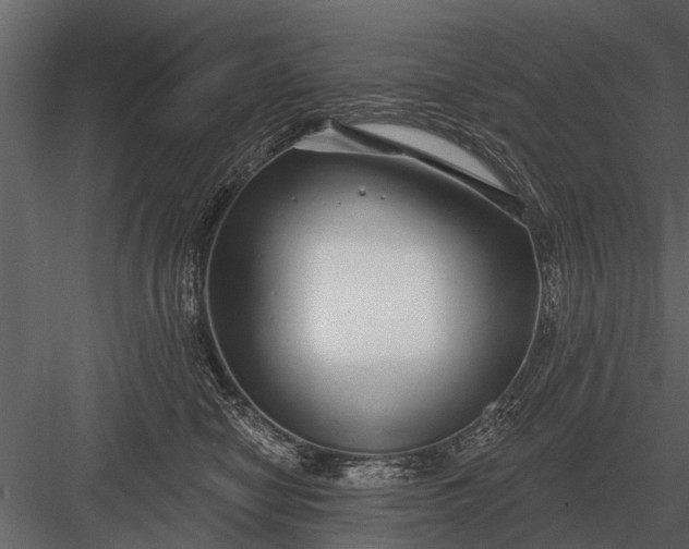 X0000083550470200702240116