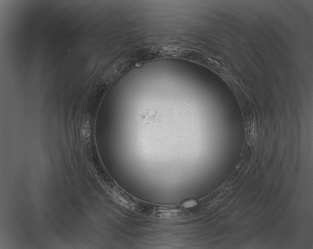 X0000083550472200702240116