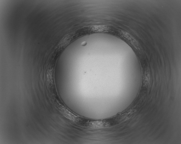 X0000083550473200702240116