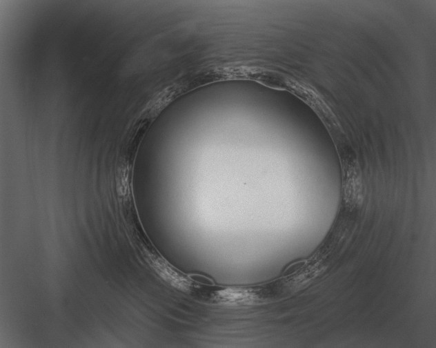 X0000083550477200702240116