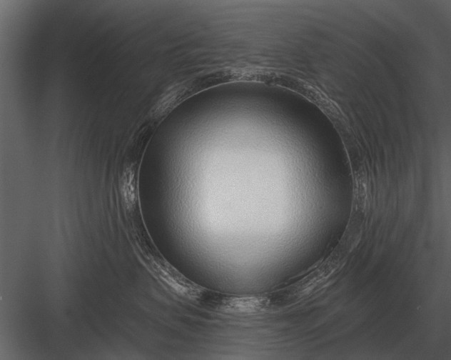X0000083550479200702240116