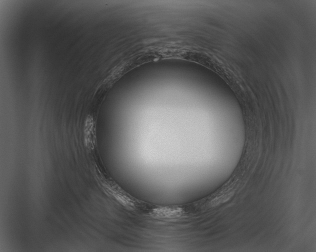 X0000083550480200702240116