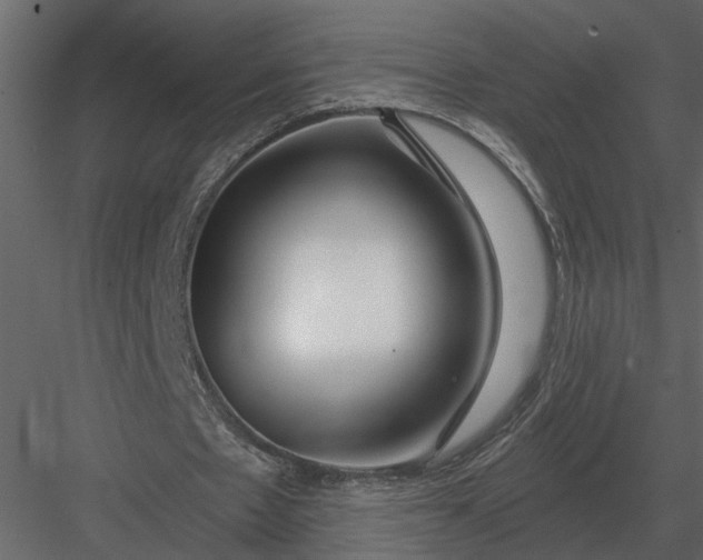 X0000083550481200702240115