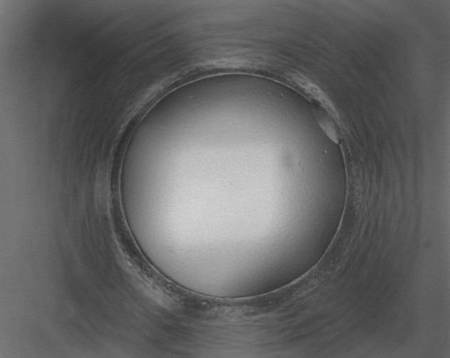 X0000083550482200702240115