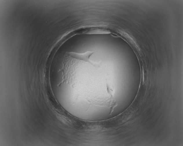 X0000083550483200702240115