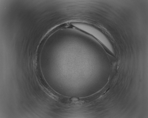 X0000083550484200702240115
