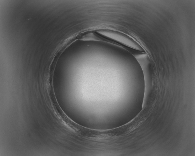 X0000083550485200702240115