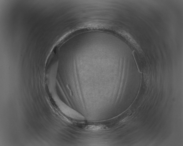 X0000083550488200702240115