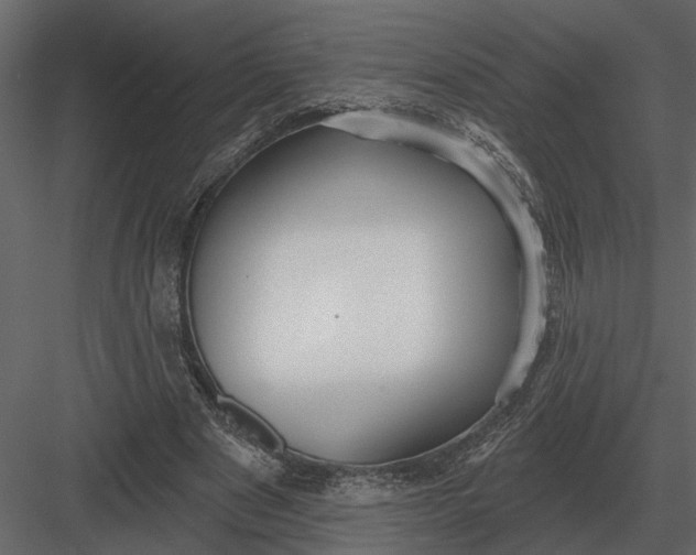 X0000083550489200702240115