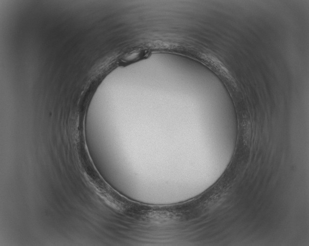 X0000083550490200702240115