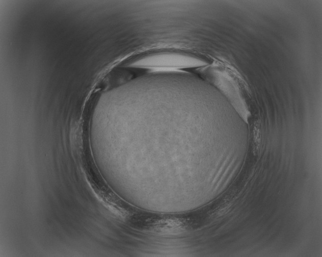 X0000083550492200702240115