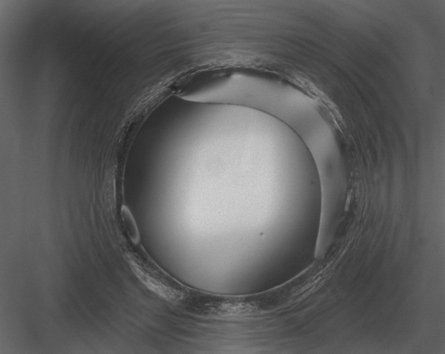 X0000083550493200702240115