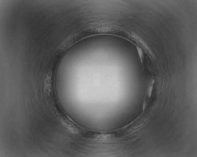 X0000083550497200702240115
