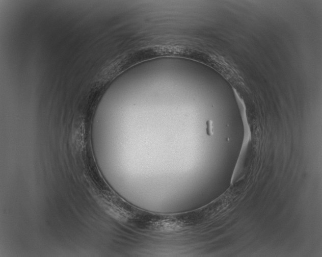 X0000083550498200702240115