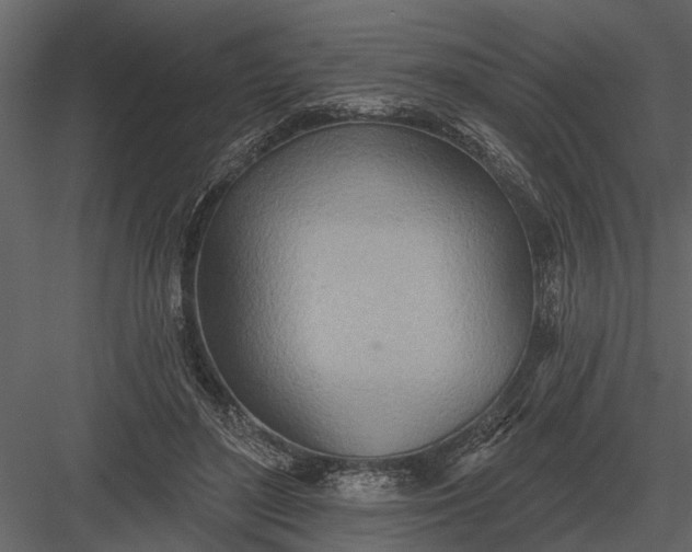 X0000083550500200702240115