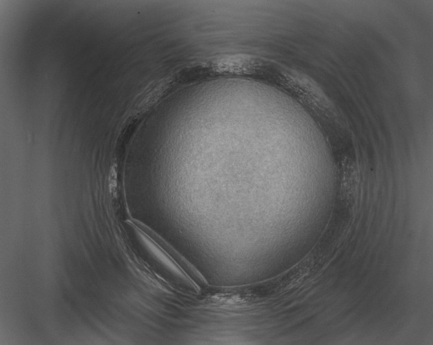 X0000083550502200702240115