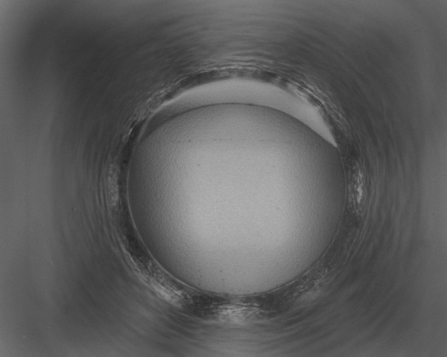 X0000083550504200702240115