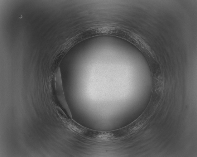 X0000083550505200702240115