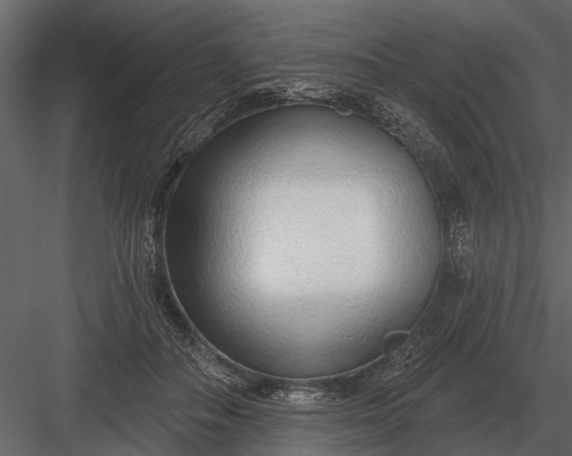 X0000083550506200702240115