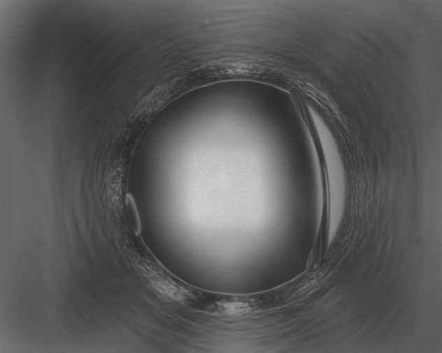 X0000083550509200702240115