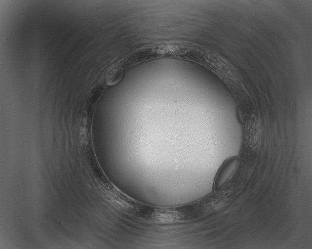 X0000083550510200702240115