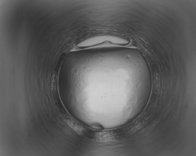 X0000083550511200702240115