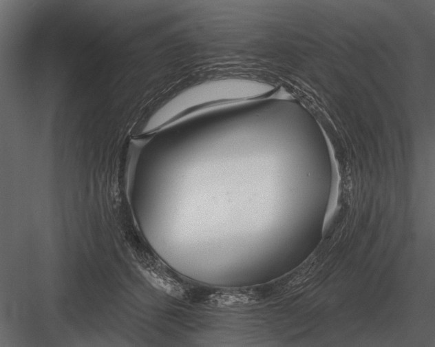 X0000083550512200702240115