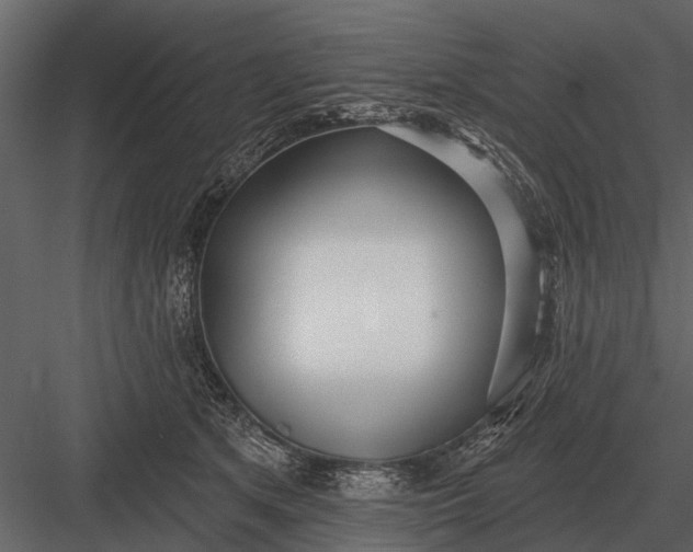 X0000083550513200702240115