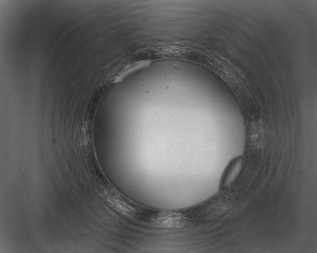 X0000083550514200702240115