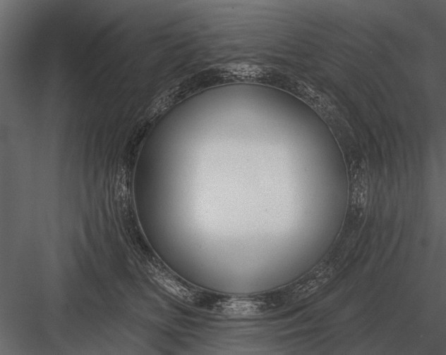 X0000083550518200702240114