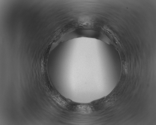 X0000083550520200702240114
