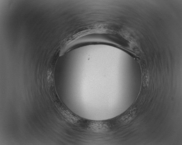 X0000083550521200702240114