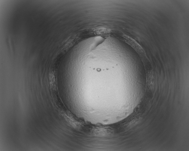 X0000083550523200702240114