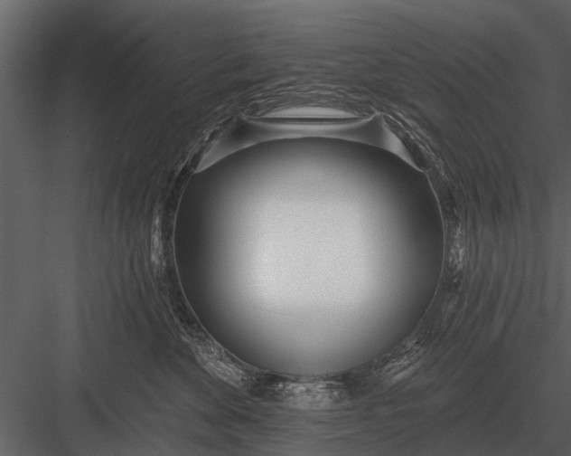 X0000083550524200702240114
