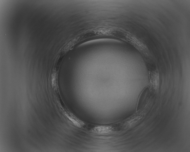 X0000083550526200702240114