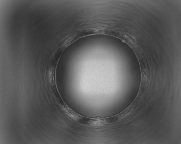 X0000083550527200702240114