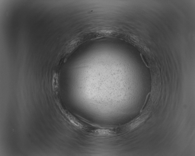 X0000083550528200702240114