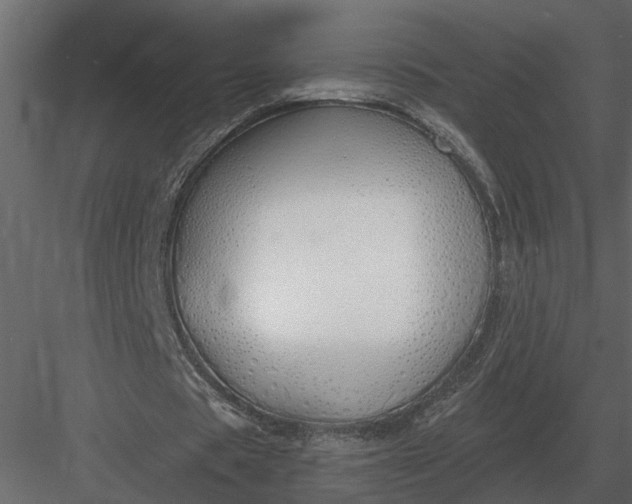 X0000083550529200702240113