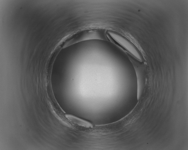 X0000083550530200702240113
