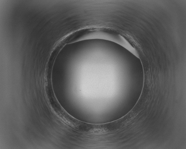 X0000083550536200702240114