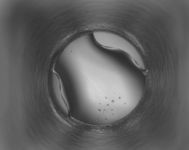 X0000083550538200702240114