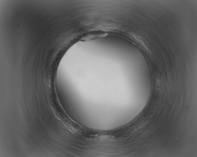 X0000083550539200702240114